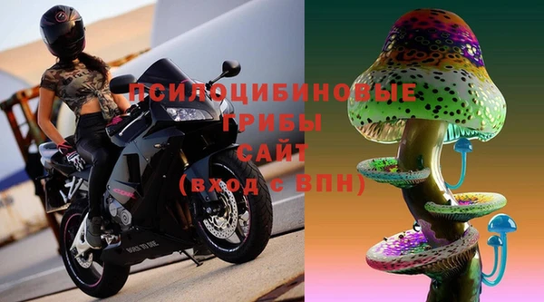 ПСИЛОЦИБИНОВЫЕ ГРИБЫ Алзамай