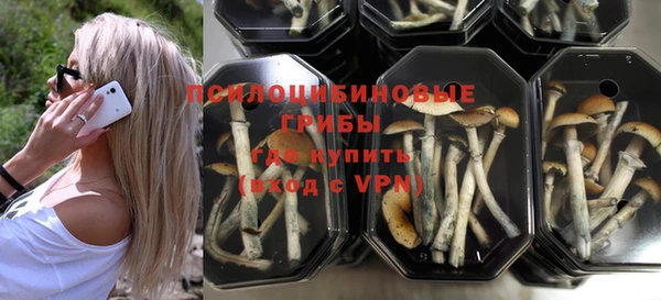 ПСИЛОЦИБИНОВЫЕ ГРИБЫ Алзамай