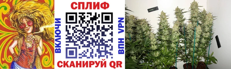 MEGA   Якутск  Каннабис Bruce Banner 